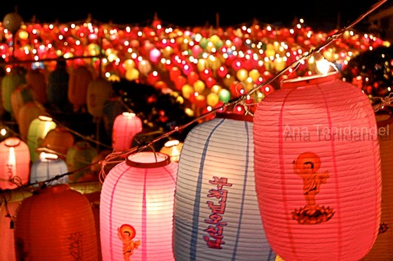 Photography: Korea thru my eyes