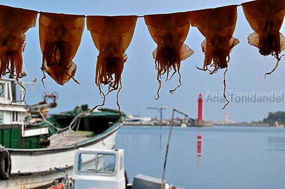 Photography: Korea thru my eyes