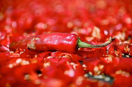 Photography: Korea thru my eyes