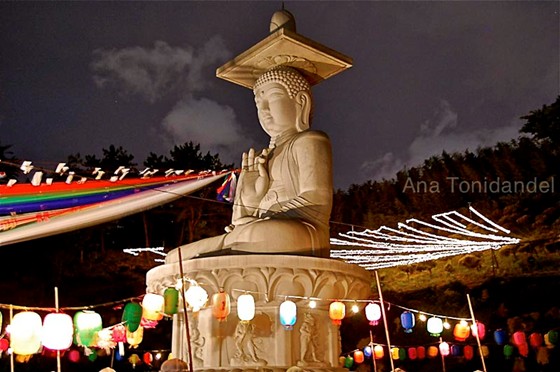 Photography: Korea thru my eyes