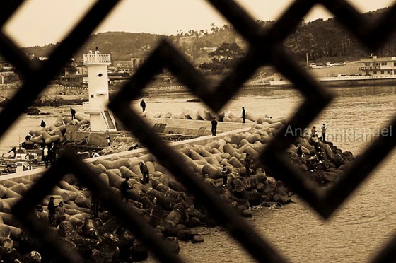 Photography: Korea thru my eyes